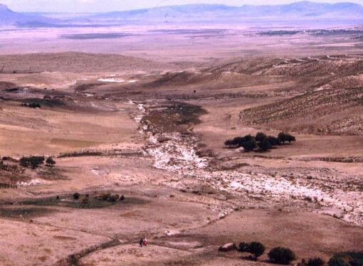 خنشلة : فلاحو النمامشة يناشدون السلطات