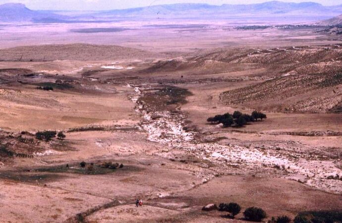 خنشلة : فلاحو النمامشة يناشدون السلطات