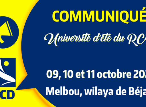 Université d’été du RCD : penser l’avenir, former les acteurs du changement
