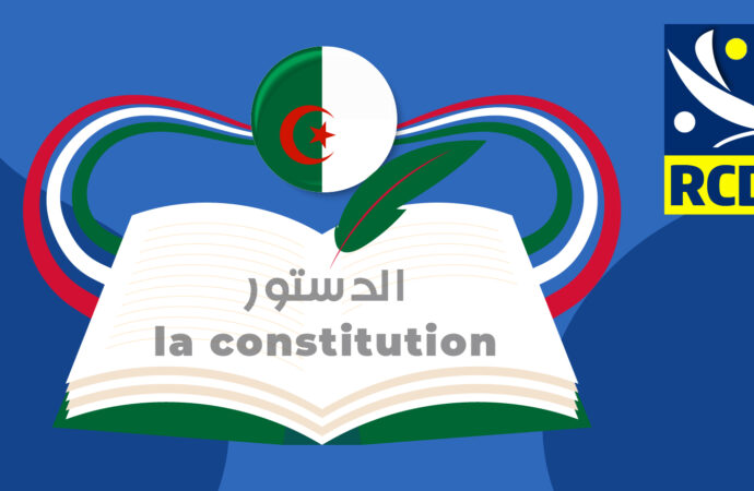 Une révision constitutionnelle… pour un pouvoir sans partage